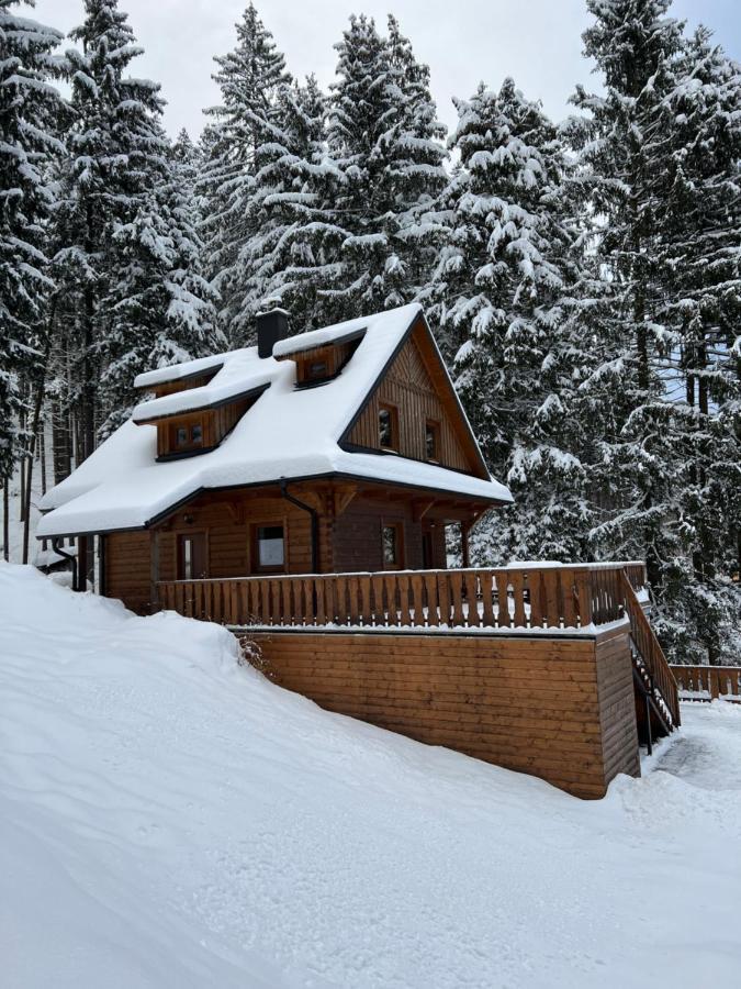 Na Prehrade S Vlastnim Wellness Villa Horni Becva